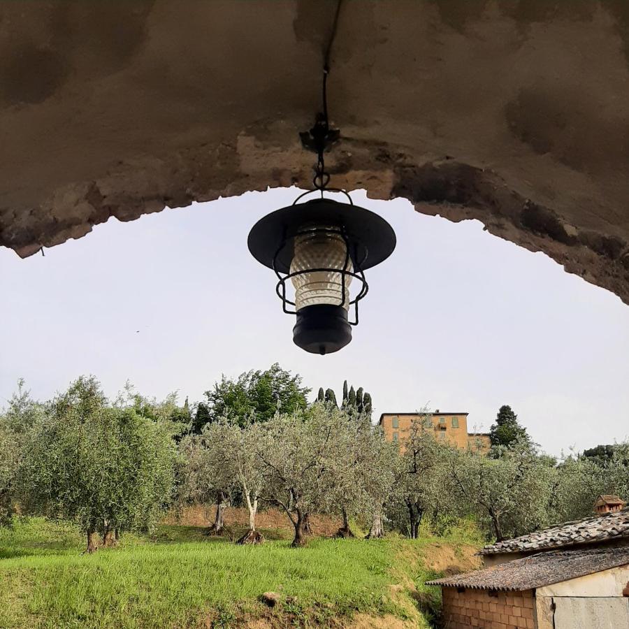 Casa Zeno Lägenhet Volterra Exteriör bild